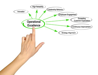 Drivers of Operational Excellence.