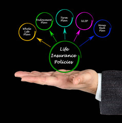 Life Insurance Policies.