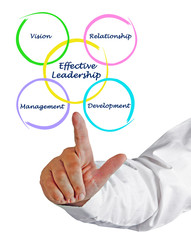 Components of Effective Leadership.