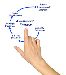 Components of Assessment Process.
