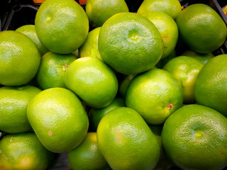 Background. Not ripe green tangerines with yellow barrels. Close-up.
