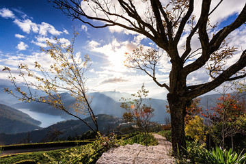 Breathtaking mountain view of Taiwan. A walking path leads down hill. The tree branches have beautiful lines and shapes against the bright sun. Far ahead, there are mist and fog among the mountains.