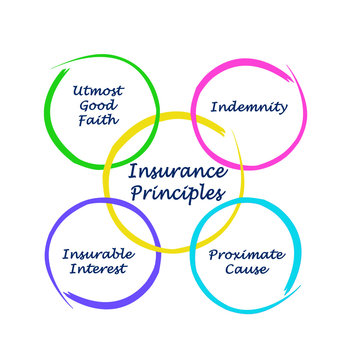 Four Insurance Principles.