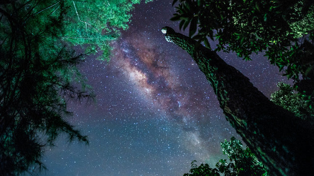 Shot This Milky Way Galaxy In Asia. It Is Really Beautiful. Big Tree Log, And House Are Use As Foreground. The Galaxy Is The Background. It Shows The Connection Between Universe And The Earth.