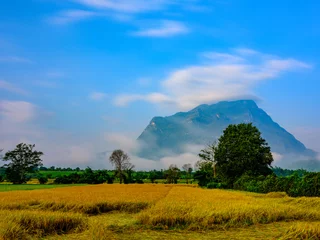 Foto op Canvas Mountain with mist  © Niyada