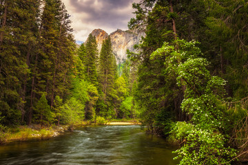 Yosemite's Merced River  in the spring