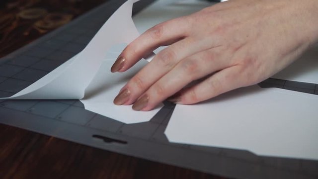 Paper cutting plotter, paper unicorn.