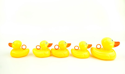 rubber ducks on white