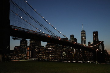 ブルックリン　橋　夜景　芝生