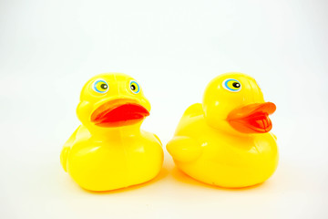 rubber ducks on white