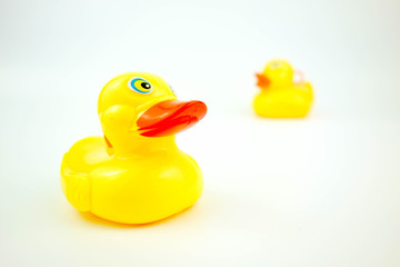 yellow rubber duck isolated on white background. Relationship concept