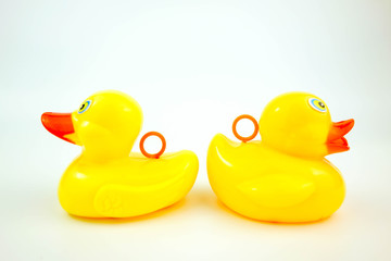 rubber duck on white. relationship concept