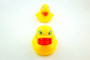 Yellow rubber duck on white background. Leadership concept.