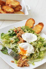 Classic French salad, great salad Lyonnaise. Dish with green leaves of lettuce, Dijon mustard sauce with pieces of fried bacon, grilled French bread, toasts and 2 poached eggs on the top.