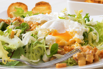 Classic French salad, great salad Lyonnaise. Dish with green leaves of lettuce, Dijon mustard sauce with pieces of fried bacon, grilled French bread, toasts and 2 poached eggs on the top.