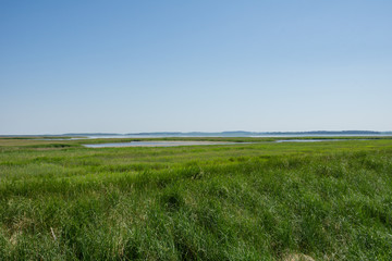 Fischland Darß Zingst