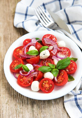 Italian caprese salad