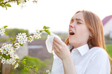 Allergy symptoms. Displeased young woman uses tissue, sneezes all time, stands near blossom during...