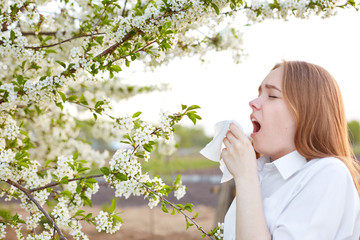Horizontal shot of sick young woman sneezes in handkerchief, dressed in elegant shirt, has allergy...