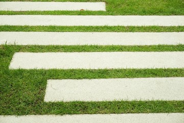 cement plate on green grass in nature garden