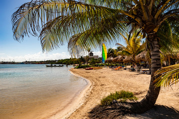 Strand mit Palme in der Karibik