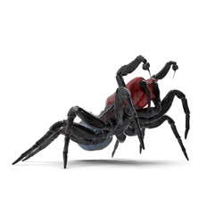 Missulena Occatoria Mouse Spider Fighting Pose 3D Illustration Isolated