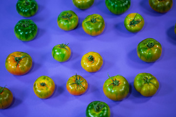 Mirinda Tomaten aus Sizilien