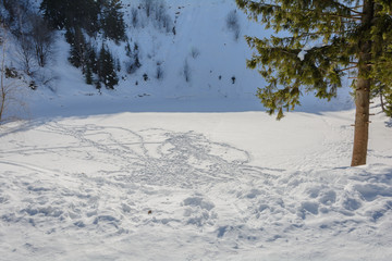 Beauty of nature in winter