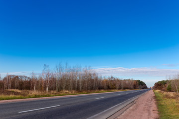 Local asphalt road among the forest at late autumn
