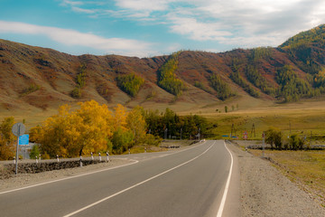 Road, Landscape | Mountain Altai