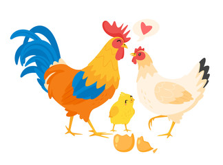 Chicken family: hen, rooster