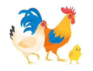 Chicken family: hen, rooster 