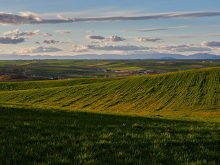 Toledo cultivation fields at sunset