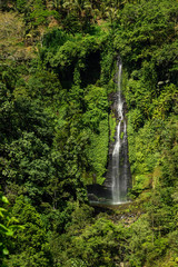 Secumpul waterfalls - amazing tourist place in Bali island, Indonesia. Beautiful waterfalls hidden in Bali mountains.
