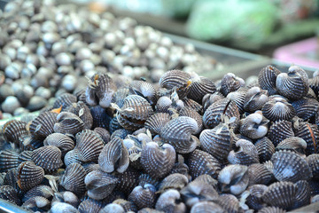 Fischmarkt in Naklua, Thailand