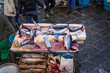 Sicily fish fair with swordfish slices