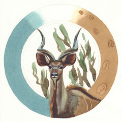 Watercolor painted antelope on a multicolored round background © Egle