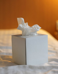 Tissue Box on Bed