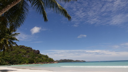 Postcard picture of a tropical beach framed by palm leaves