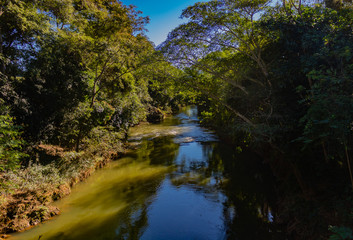 river in forest