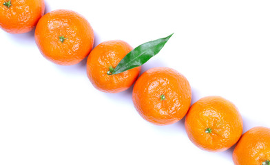 Tangerines in one line with green leaves on a white background