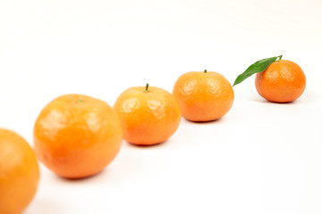 Tangerines in one line on a white background first go tangerine in focuse with green leafe