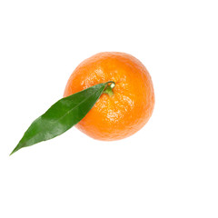 Isolated Ripe tangerine with green leaves on a white background in focus top view