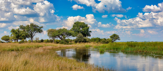 Typical african landscape with wild river in national park Bwabwata on Caprivi Strip, Namibia wilderness