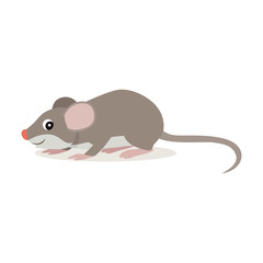 Forest animal, cute small gray mouse icon isolated on white background, funny rat, vector illustration