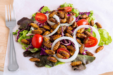 Food Insects: Fried worm insect or Chrysalis silkworm for eating as food items in salad vegetable on wood background, it is good source of protein edible for future. Entomophagy concept.