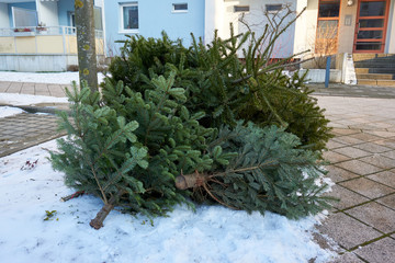 Weihnachtsbaumentsorgung Neujahr
