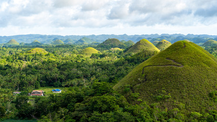 Chocolate hills sightseeing tour and the view, bohol island, Philippines