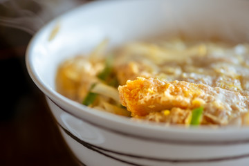 Deep fried pork with hot rice in bowl, Japanese fresh food style (Katsudon).