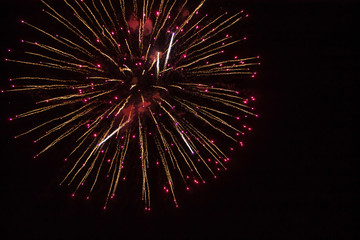 Fototapeta premium fireworks in the sky